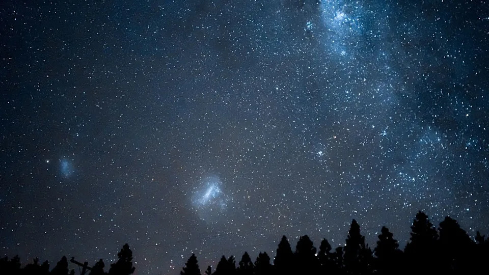 منظر خلاب لسحب ماجلان وذيل درب التبانة فوق الغابة