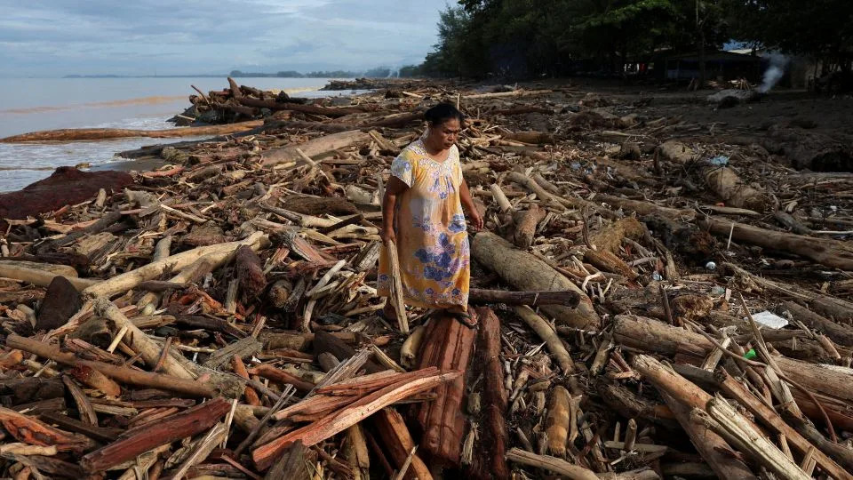 امرأة تمشي بين جذوع الأشجار التي تقطعت بها السبل على الشاطئ بعد الفيضانات القاتلة والانهيارات الأرضية، في بادانج، مقاطعة سومطرة الغربية، إندونيسيا، في 30 نوفمبر 2025. - ويلي كورنياوان / رويترز