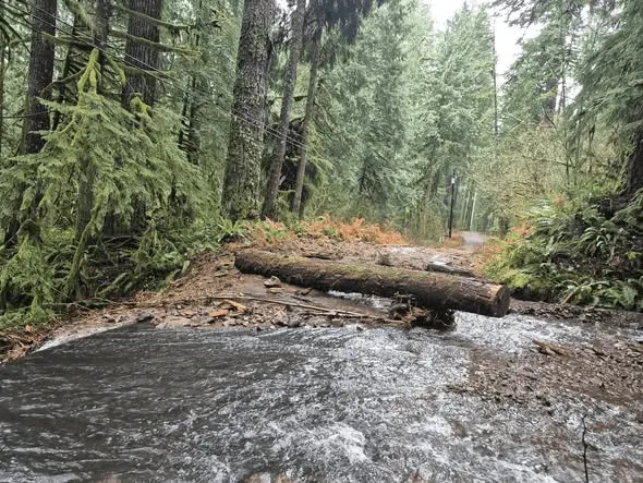 انجراف على طريق ستيل كريك في منطقة زيجزاج رينجر.