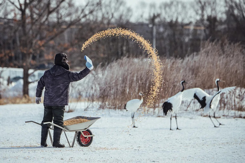 شخصية ترتدي ملابس ثقيلة ترمي الطعام بشكل ديناميكي من عربة يدوية أمام ثلاث رافعات في منظر طبيعي ثلجي.