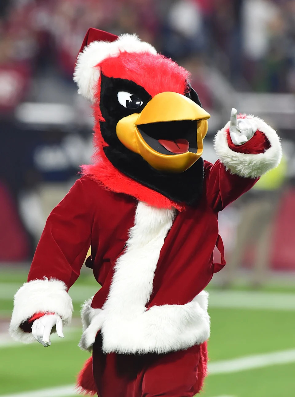 تميمة أريزونا كاردينالز Big Red ترتدي زي سانتا كلوز.
