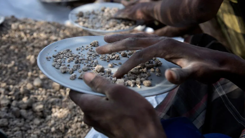 العديد من حفريات A. deyiremeda عبارة عن شظايا صغيرة، والتي تتطلب عملاً مضنيًا لجمعها. - ديل أوموري