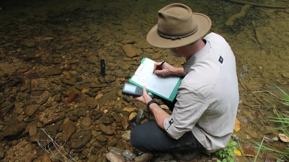 يقوم الباحثون بفحص الماء بحثًا عن أدلة حول ما تأكله الأسماك. - جامعة جريفيث