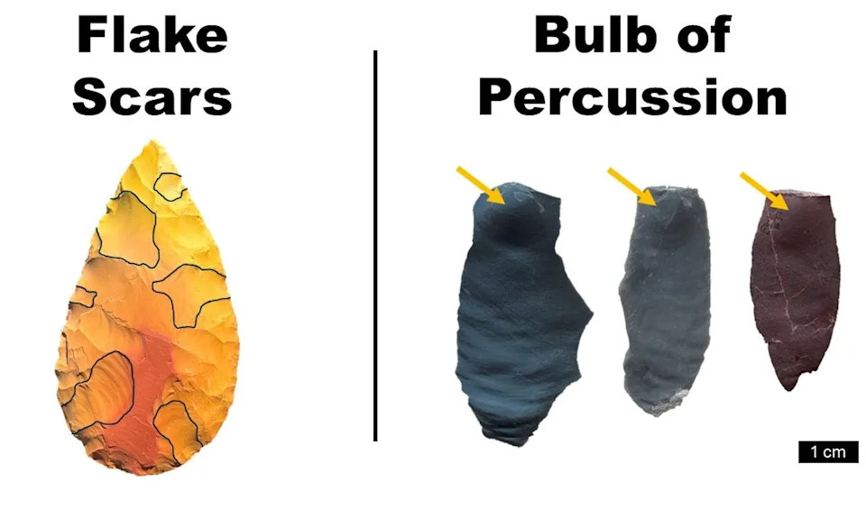 تحيط الخطوط العريضة السوداء بالأماكن التي تمت إزالة الرقائق من فأس يد على شكل دمعة. ثلاثة أمثلة على انتفاخ على الرقاقة بالقرب من مكان ضربها.