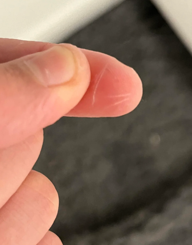 لقطة مقرّبة لإصبع شخص تُظهر ورقة صغيرة مقطوعة على طرف الإصبع، تمت مشاركتها في منشور على موقع Reddit بعنوان "هذه الورقة المقطوعة التي حصلت عليها."