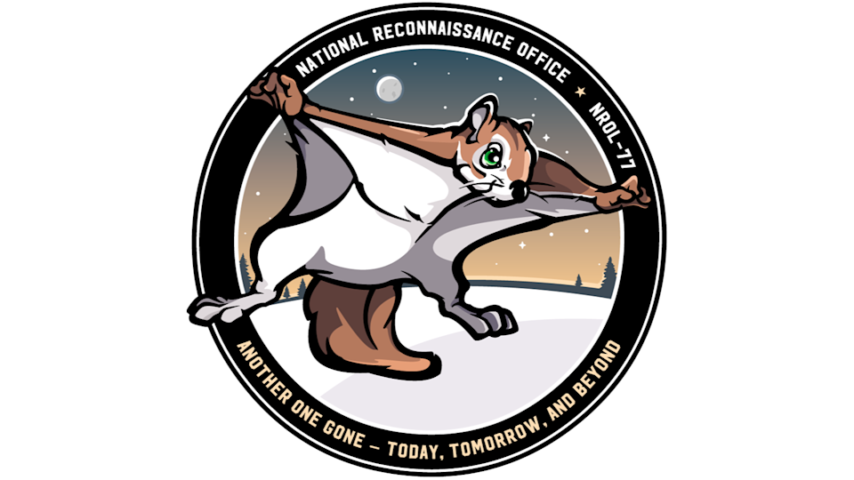 رقعة مهمة تُظهر رسمًا توضيحيًا لسنجاب طائر في منتصف الانزلاق