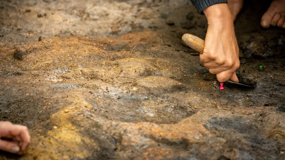 علماء الآثار يعملون بالقرب من بقايا نار المخيم التي يعود تاريخها إلى 400 ألف عام. - جوردان مانسفيلد