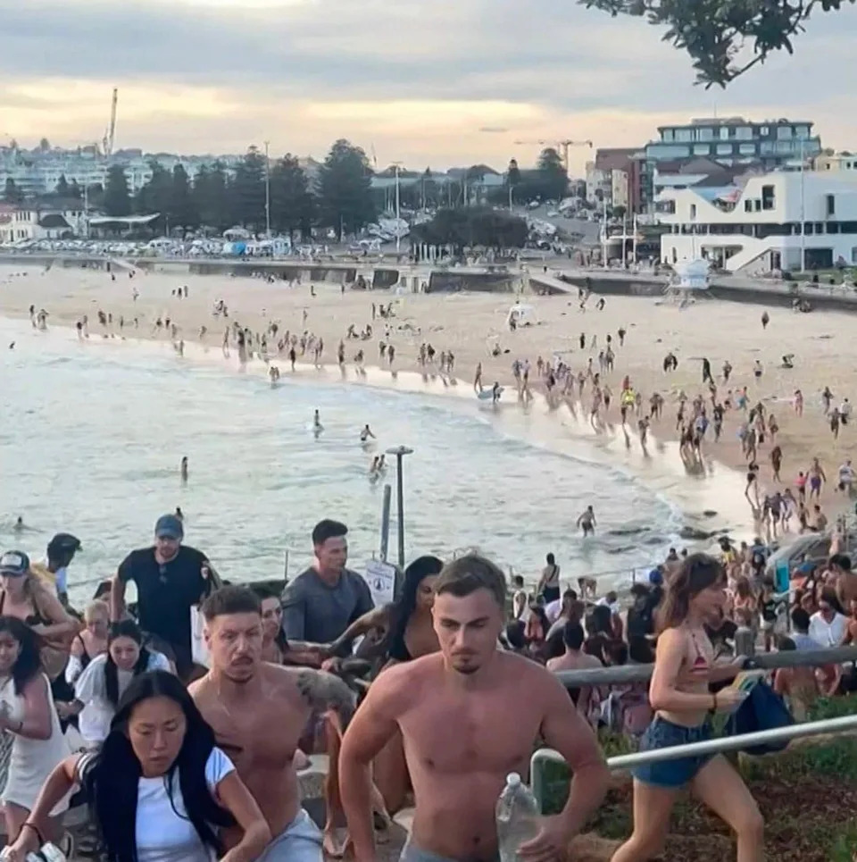 فر مئات الأشخاص من شاطئ بوندي عندما أطلق مسلحان 50 رصاصة على الحشد