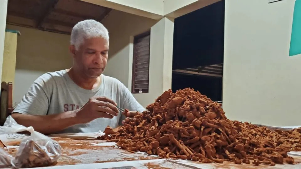 تم تصنيف أعشاش النحل على أنها Osnidum almontei، والتي سميت على اسم خوان ألمونتي ميلان. - بإذن من لازارو فينيولا لوبيز