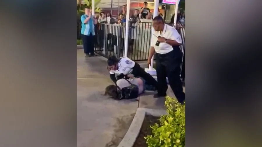 شوهد أحد الضيوف وهو متورط في مشاجرة مع الأمن في Knott's Berry Farm. يناير 2026. (صورة المشاهد)