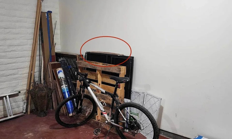 أفعى الجرسية في مرآب أصحاب المنازل.