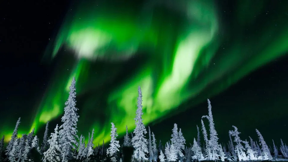 تحدث الأضواء الشمالية - التي تظهر هنا شمال إينوفيك، في الأقاليم الشمالية الغربية لكندا - عندما تصل الجسيمات النشطة الناتجة عن المقذوفات الكتلية الإكليلية إلى المجال المغناطيسي للأرض وتتفاعل مع غازات الغلاف الجوي. – كول بيرستون / وكالة الصحافة الفرنسية / غيتي إيماجز