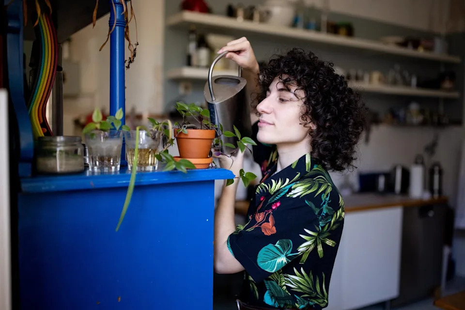 شخص يسقي نباتات صغيرة في الأصيص