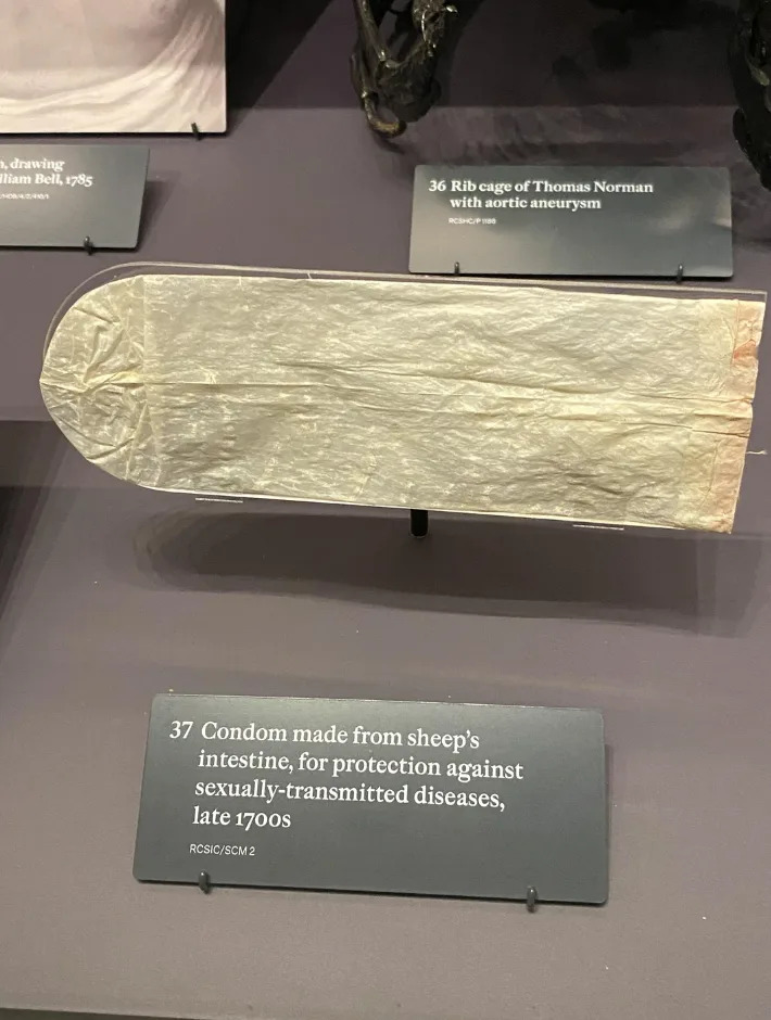 الواقي الذكري المصنوع من أمعاء الأغنام للوقاية من الأمراض المنقولة جنسيًا، أواخر القرن الثامن عشر، معروض في معرض المتحف