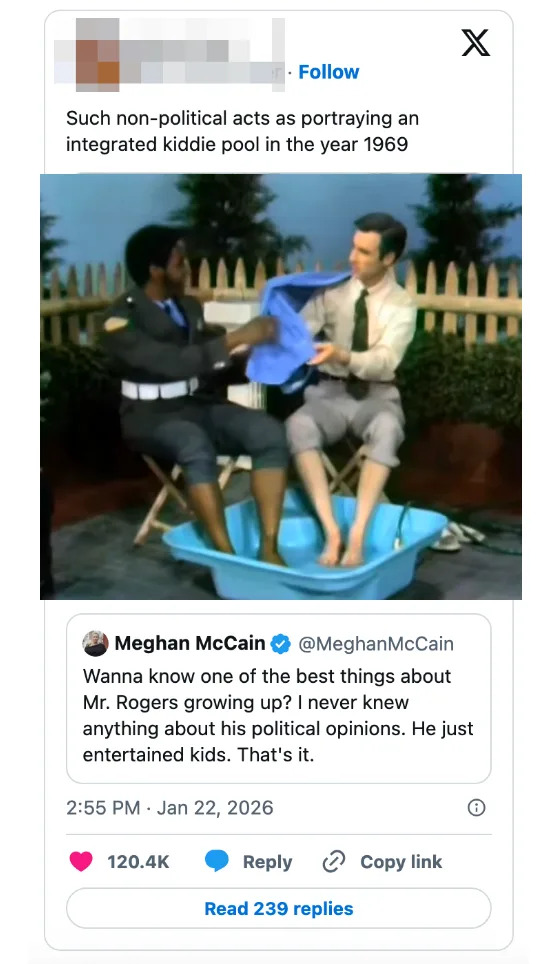 وتسلط إحدى التغريدات الضوء على السيد روجرز ورجل أسود يتشاركان حمام سباحة للأطفال في عام 1969، مع التركيز على التكامل العرقي. ميغان ماكين تشيد بنهج السيد روجرز غير السياسي