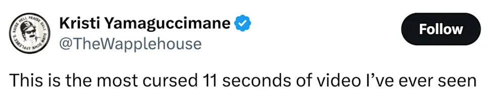 تقول تغريدة كريستي ياماجوتشيمان: "هذا هو أكثر فيديو مدته 11 ثانية ملعونًا رأيته على الإطلاق."