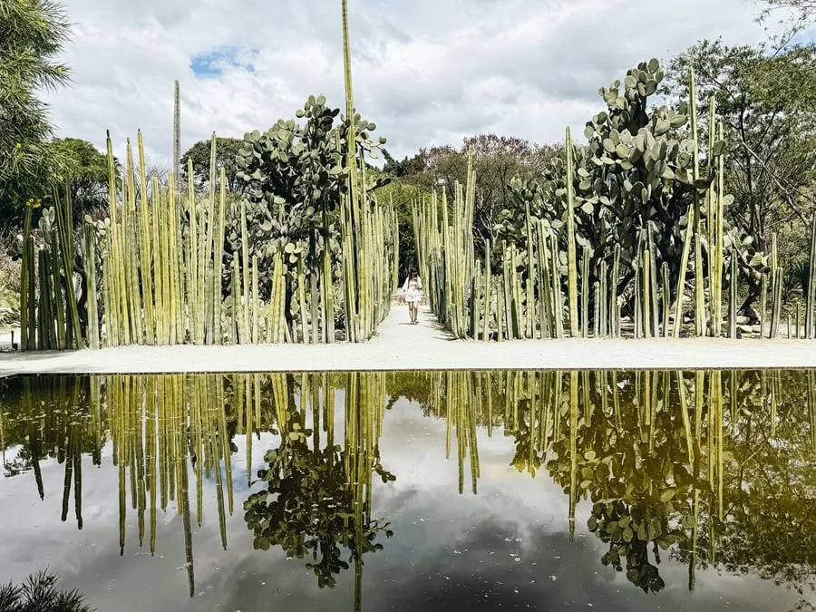 جاردين إتنوبوتانيكو