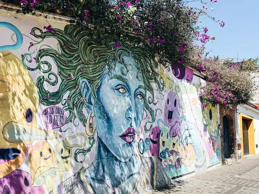 شارع الفن جالاتلاكو أواكساكا