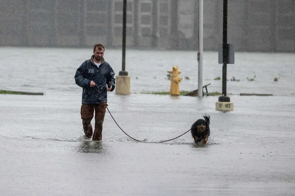 نوح دورفمان يمشي مولي تسير عبر طريق غمرته المياه أثناء المد الكبير في ميل فالي يوم السبت. (ستيفن لام / سان فرانسيسكو كرونيكل)