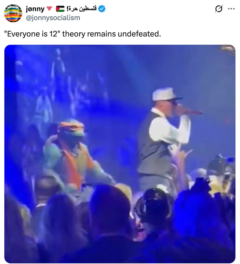 أداء على خشبة المسرح مع شخصية سلاحف النينجا، يشاهده الجمهور. يقرأ التسمية التوضيحية: "نظرية 