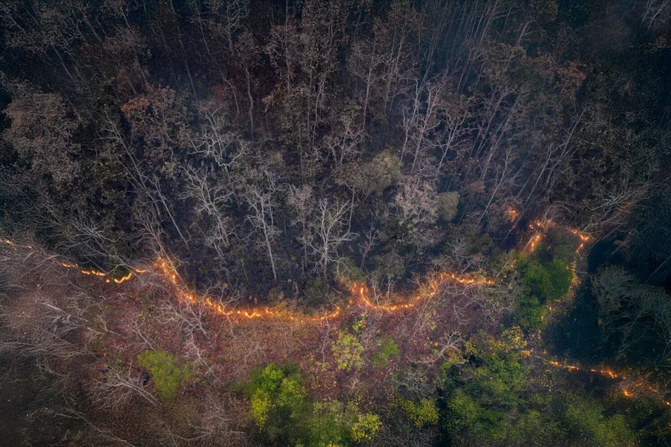تطلق حرائق الغابات ثاني أكسيد الكربون والغازات الدفيئة الأخرى، مثل غاز الميثان، إلى الغلاف الجوي. تأتي انبعاثات الكربون من إزالة الغابات.