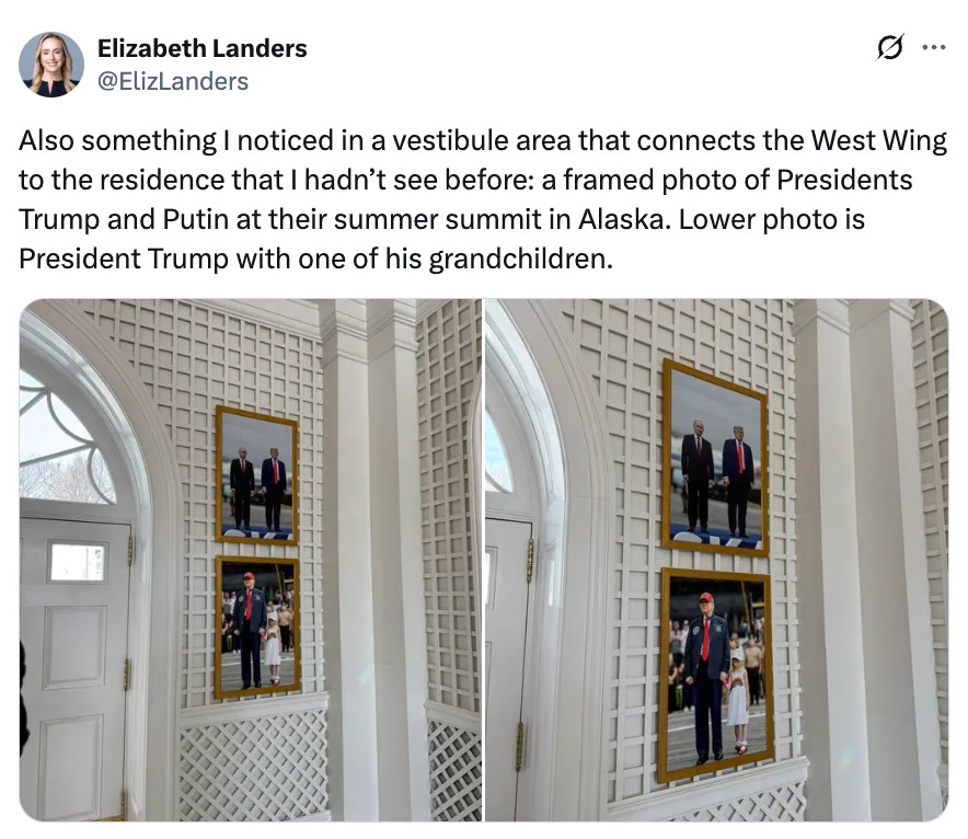     إليزلاندرز/x.com